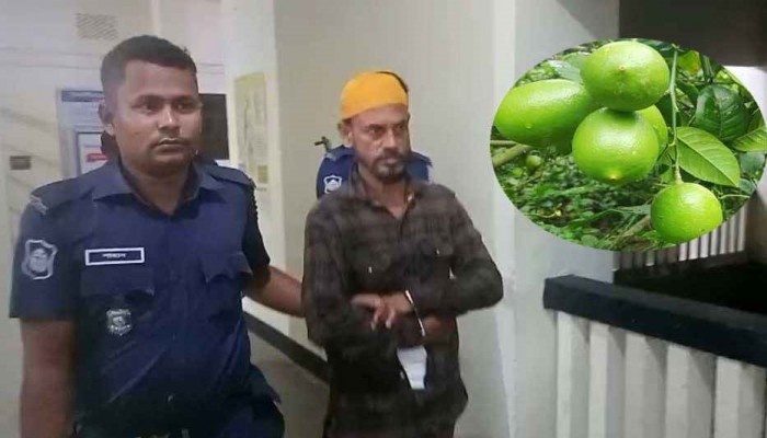 লেবু দেওয়ার কথা বলে প্রতিবন্ধী তরুণীকে বাগানে নিয়ে গেলেন মতিন, অতঃপর...