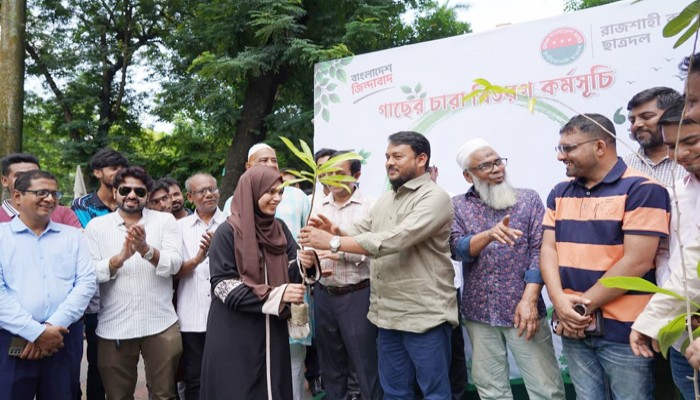 রাজশাহী কলেজে ছাত্রদলের উদ্যোগে গাছের চারা বিতরণ