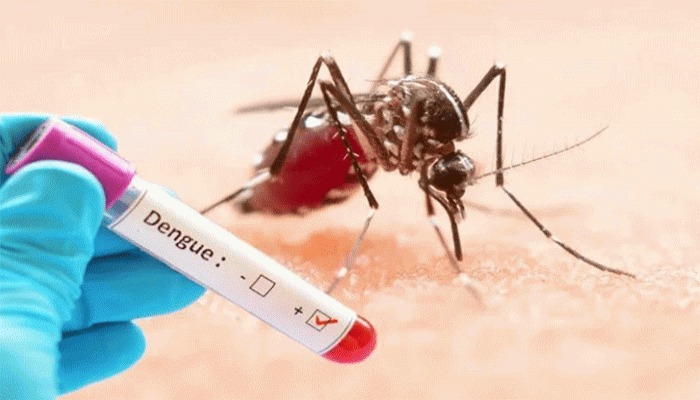 ২৪ ঘণ্টায় ডেঙ্গুতে ৩ জনের মৃত্যু