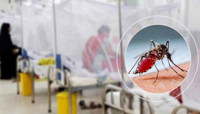 ২৪ ঘণ্টায় ডেঙ্গুতে আরও ৩ জনের মৃত্যু, হাসপাতালে ৪৫৮