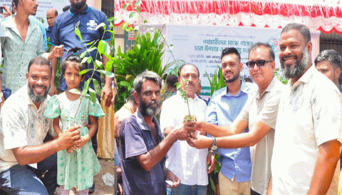 নাটোরে পথচারীদের মাঝে গাছের চারা বিতরণ