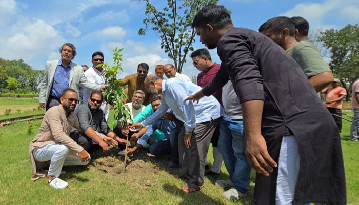 রাজশাহীতে বৃক্ষরোপণ কর্মসূচির উদ্বোধন, পাঁচ বছরে ২৫ হাজার চারা রোপণের পরিকল্পনা