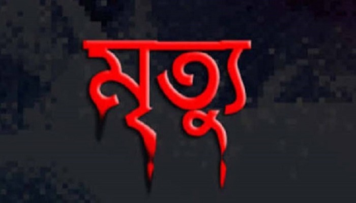 ধান রোপণের সময় বজ্রপাতে কৃষকের মৃত্যু