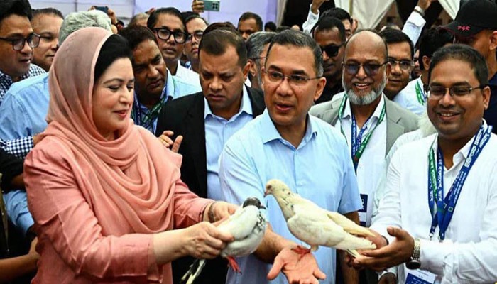 বিদ্যুৎ-জ্বালানি নিয়ে অস্থিতিশীলতা তৈরিতে একটি চক্র সক্রিয়: প্রধানমন্ত্রী