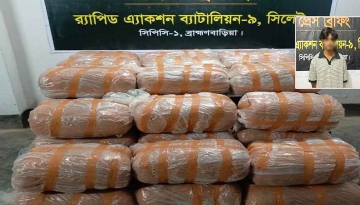 মাটির নিচে ‘গাঁজার খনি’, ২৬৪ কেজিসহ ধরা রাসেল
