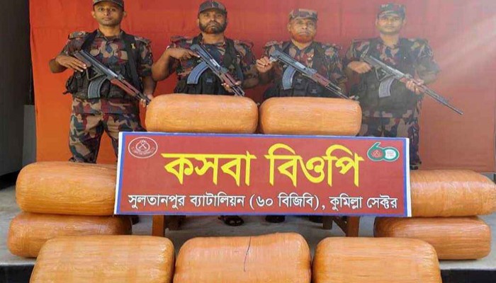 কসবায় বিজিবির অভিযানে ১০০ কেজি ভারতীয় গাঁজা জব্দ