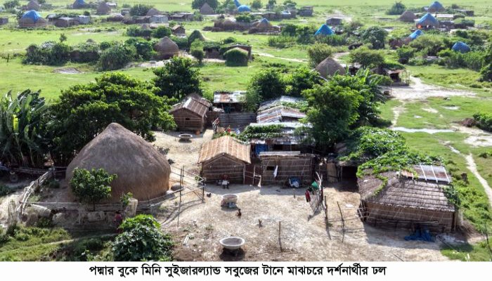 পদ্মার বুকে মিনি সুইজারল্যান্ড সবুজের টানে মাঝচরে দর্শনার্থীর ঢল