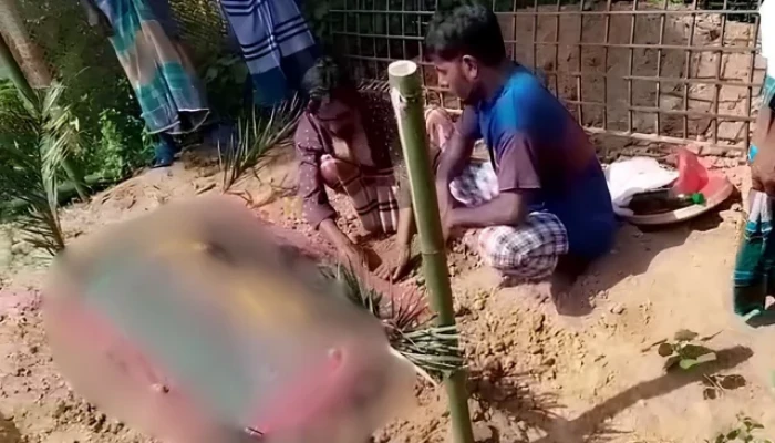 সাপের কামড়ে মারা যাওয়া নারীকে ‘জীবিত’ করতে কবরস্থানে ওঝার ঝাড়ফুঁক