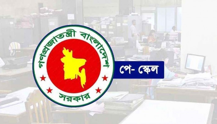 সরকারি চাকরিজীবীদের বেতনের হিসাব নিয়ে যা জানা গেল