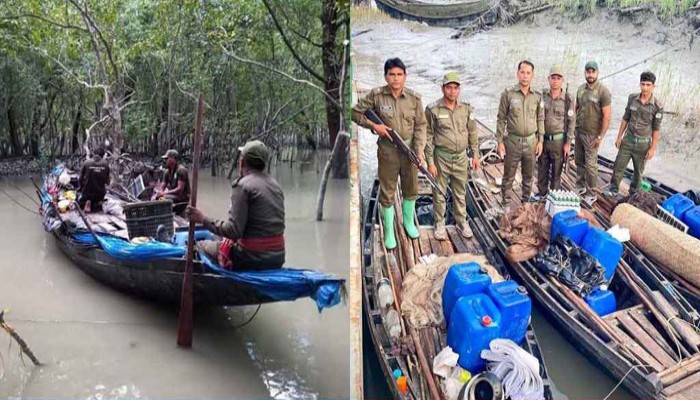 সুন্দরবনে ফের ‘বিষদস্যুদের’ দৌরাত্ম্য, হুমকিতে জলজ জীববৈচিত্র্য
