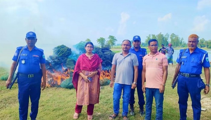 সিংড়ায় ৬৯ টি চায়না দুয়ারি জাল জব্দ ও ধবংস