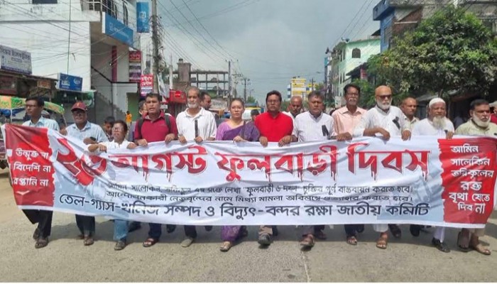 ফুলবাড়ীর দিকে তাকালেই তারা কয়লা ছাড়া কিছুই দেখে না -অধ্যাপক আনু মুহাম্মদ
