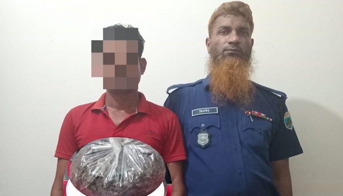 গোদাগাড়ীতে গাঁজাসহ মাদক মাদক কারবারী গ্রেফতার