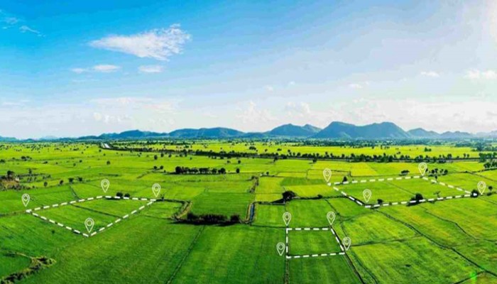 জেনে নিন নতুন আইনে জমির নামজারির নিয়ম