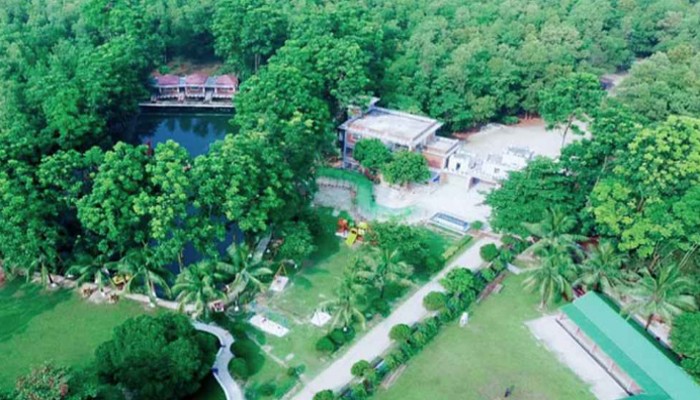 প্রবাসীর স্ত্রীকে জোর করে ঘরে নিয়ে যান ইয়ামিন