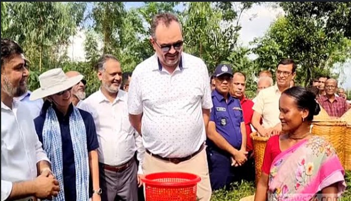 ঠাকুরগাঁওয়ের ঐতিহ্য ও সম্ভাবনায় মুগ্ধ মার্কিন রাষ্ট্রদূত, দেখলেন সূর্যপুরী আমগাছ ও সমতলের চা বাগান