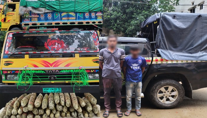 ফেনীতে ২১.৫ কেজি গাঁজাসহ দুই মাদক কারবারি আটক