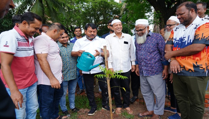 বিএনপির প্রতিষ্ঠাবার্ষিকী উপলক্ষে বৃক্ষরোপণ