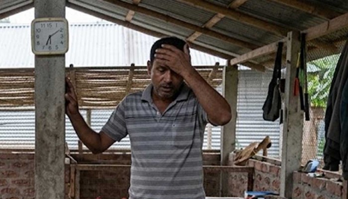 খামারে খাবার দিয়ে ঘুমাতে যান আমিনুর, সকালে উঠে ‘মাথায় হাত’