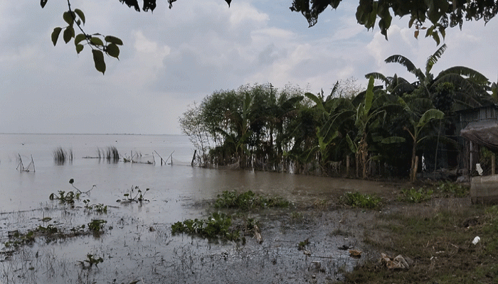 পদ্মার চরে পানিবন্দী ২০ হাজার, বন্ধ ৮ স্কুল