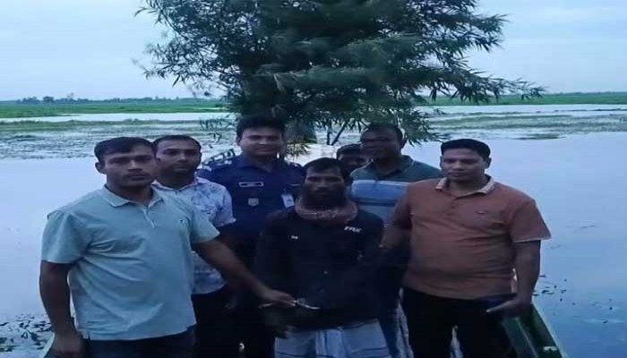 সিংড়ায় গাঁজার গাছসহ মাদক ব্যবসায়ি আটক