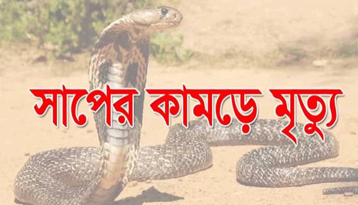 নিয়ামতপুরে বেড়াতে এসে সাপের কামড়ে শিশুর মৃত্যু