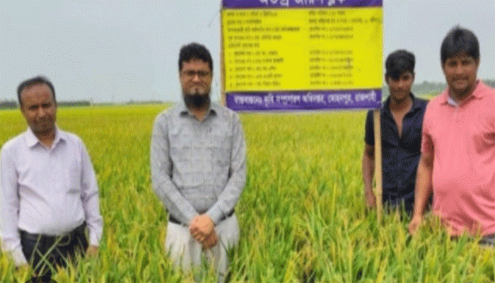 মোহনপুর কৃষি কর্মকর্তার তৎপরতায় কৃষিক্ষেত্রে বৈপ্লবিক পরিবর্তন