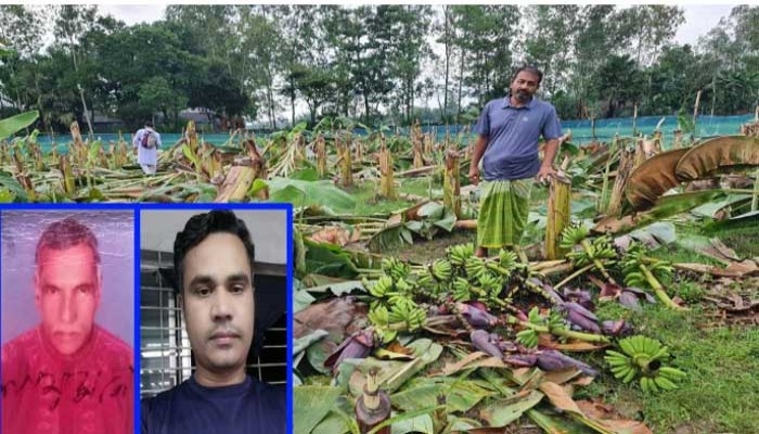 রাতের আধারে কৃষকের ‘সর্বনাশ’ করলেন কৃষক লীগ নেতা
