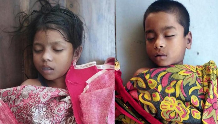 পুকুরে ডুবে চাচাতো ভাই-বোনের মৃত্যু