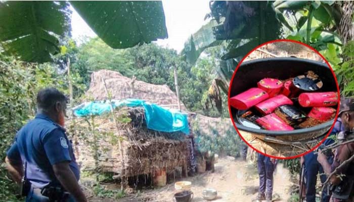 শিবগঞ্জে ১৯ ককটেল উদ্ধার, বিজিবি-পুলিশের যৌথ অভিযান