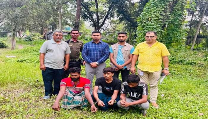 পুঠিয়ায় মাদকবিরোধী অভিযান, ৩ জনের ৫ মাসের কারাদণ্ড