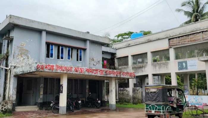 নারিকেল গাছ থেকে পড়ে শিশুর মৃত্যু