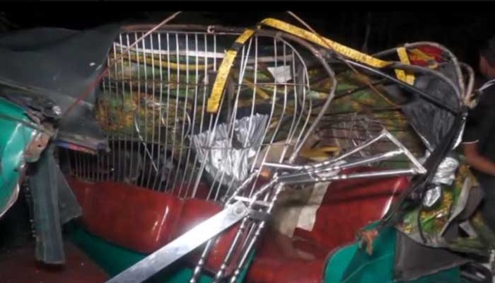 শেরপুরে বাস-অটোরিকশার মুখোমুখি সংঘর্ষে প্রবাসী নিহত, আহত ৪ জন।