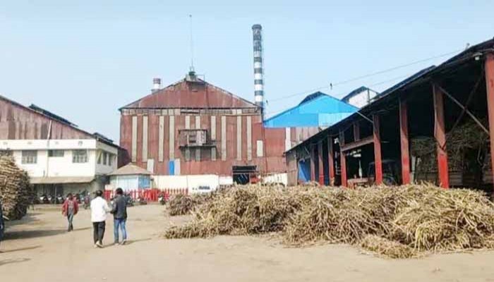 লালপুরে নর্থ বেঙ্গল সুগার মিলস লিঃ  ৯৪তম আখ মাড়াই মৌসুম শুরু